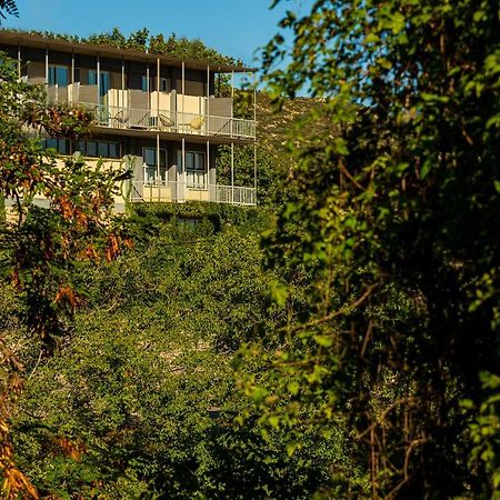 Theoxenia Hotel Andritsaina Esterno foto