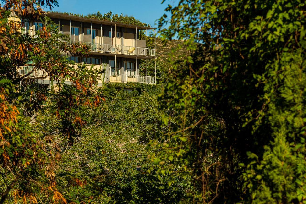 Theoxenia Hotel Andritsaina Esterno foto